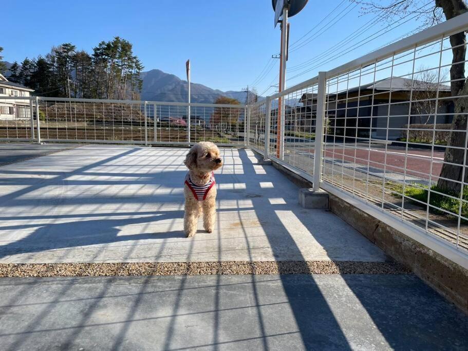 Mt. Fuji Kokoワンちゃんokの新築貸別荘 Fujikawaguchiko Esterno foto