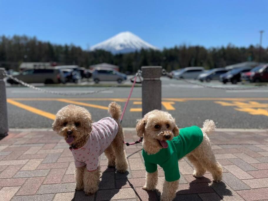 Mt. Fuji Kokoワンちゃんokの新築貸別荘 Fujikawaguchiko Esterno foto